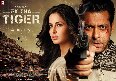 ek-tha-tiger-movie-photos - photo24