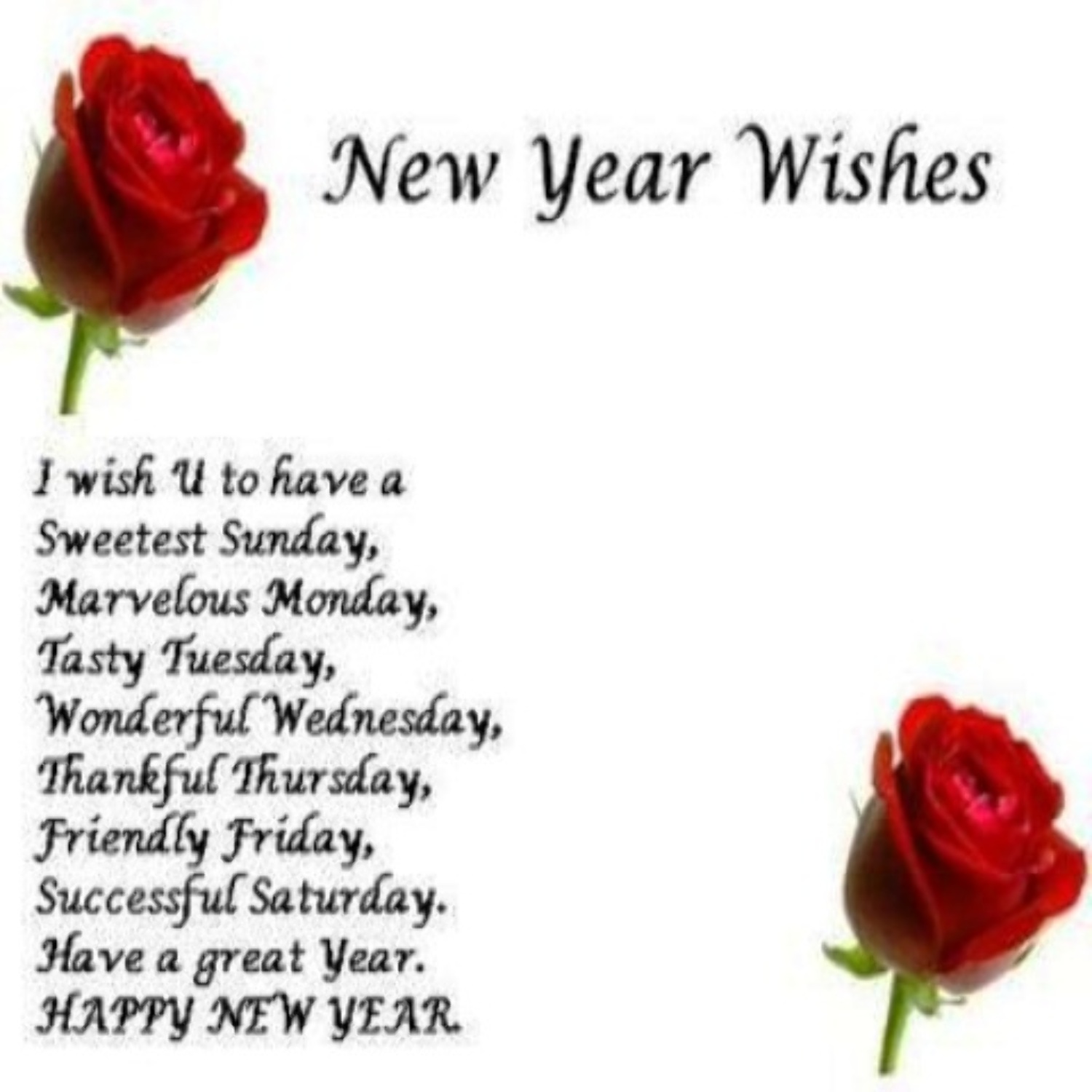 Happy New Year 2013 Friendship SMS