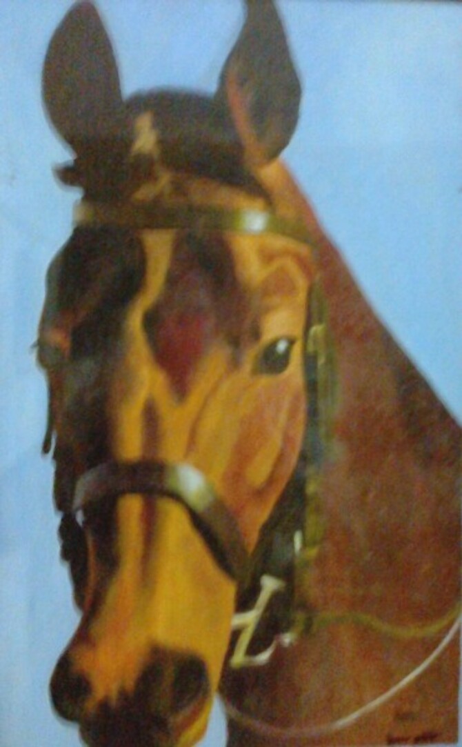 Code Magon17  Horse face