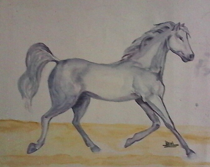 Code Magw9  Horse