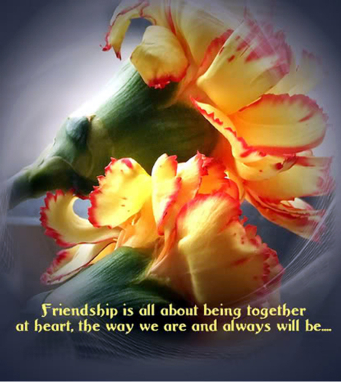 friendship day greetings and wallpapers-photo13